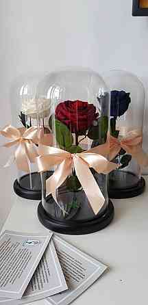 rose flask Almaty