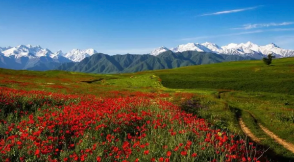 Токаев подписал закон о сохранении природных ресурсов Казахстана.