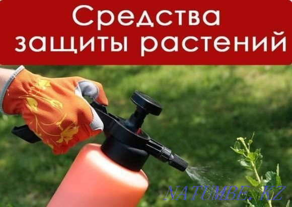 Купим все виды удобрений Новосибирск - изображение 1