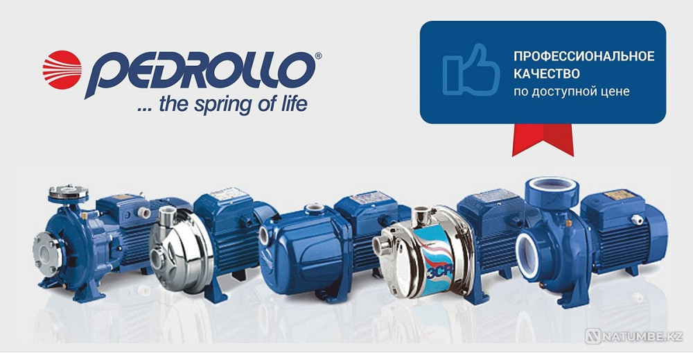 Pedrollo pumps Moscow - photo 1