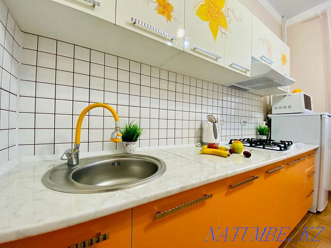  apartment with hourly payment Astana - photo 3