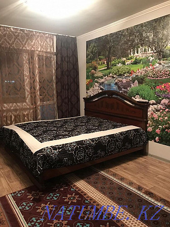  apartment with hourly payment Astana - photo 3