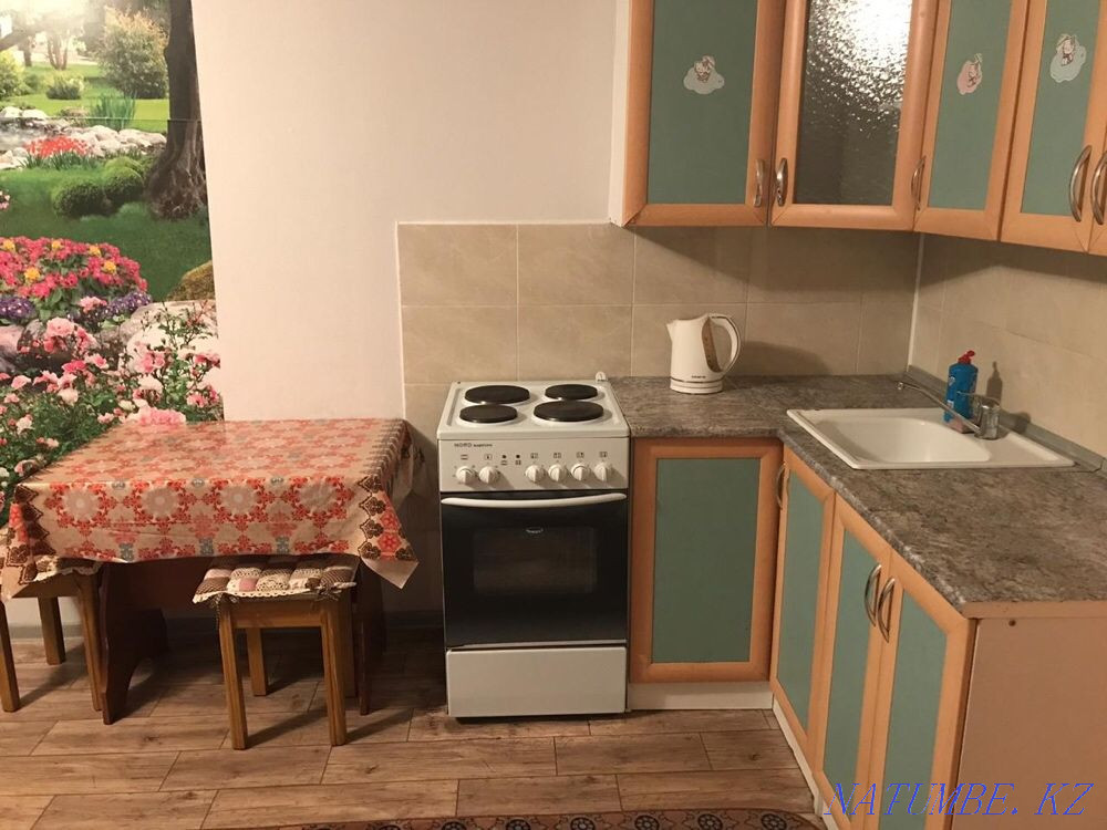 hourly rent apartment Astana - photo 4