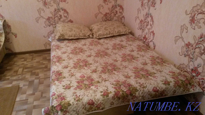  apartment with hourly payment Astana - photo 2