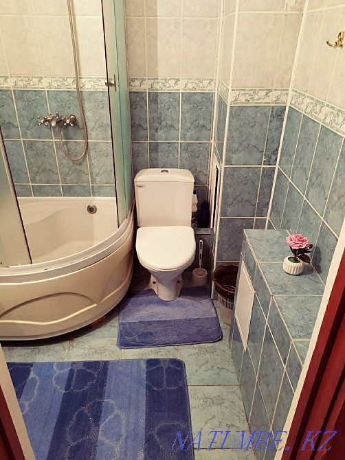  квартиру с почасовой оплатой Астана - изображение 6