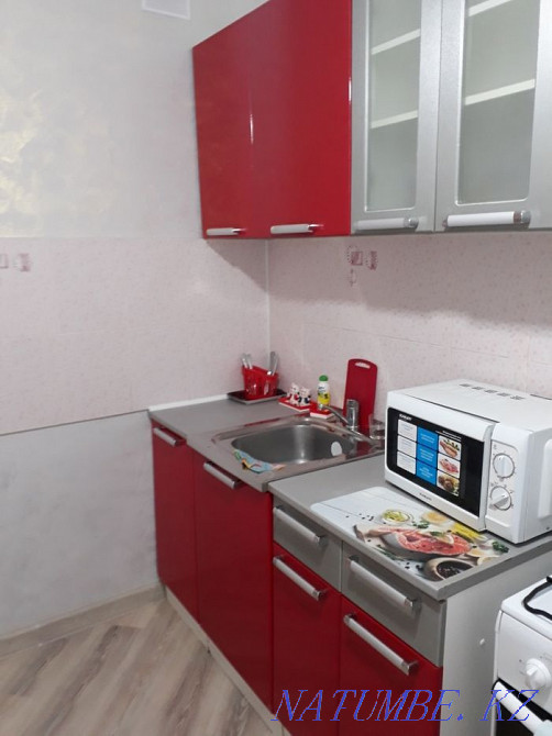 hourly rent apartment Astana - photo 4