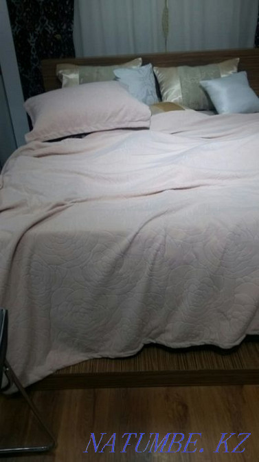 hourly rent apartment Astana - photo 2