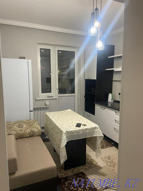  квартиру с почасовой оплатой Астана - изображение 2