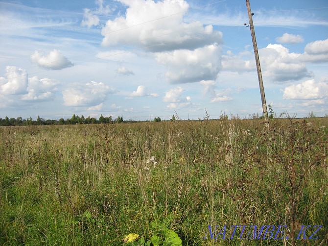   plot of 50 acres Tver - photo 2