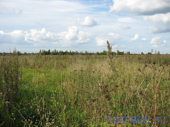   plot of 50 acres Tver - photo 1