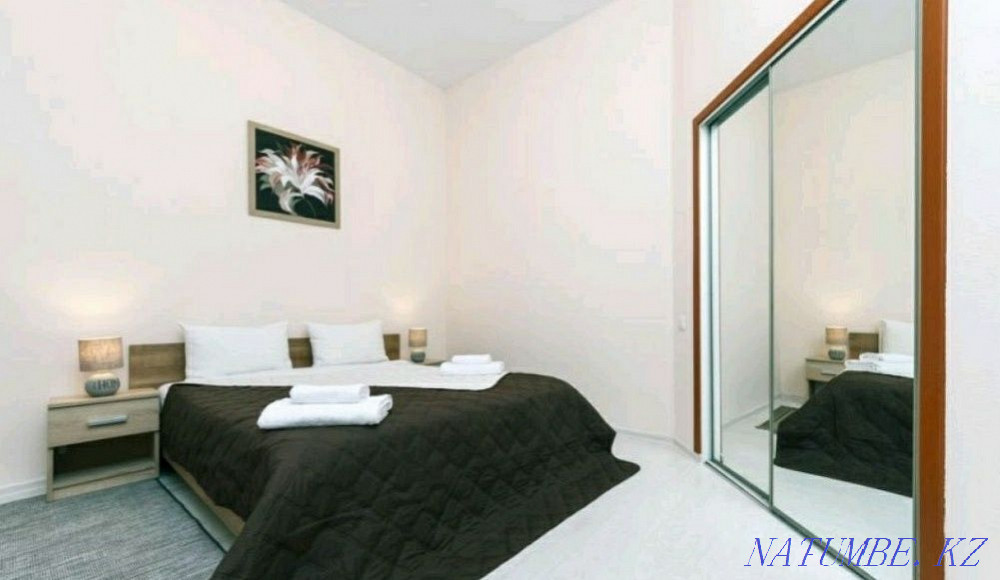 Two-room apartment for daily rent Astana - photo 1