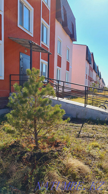 2-room apartment Astana - photo 6