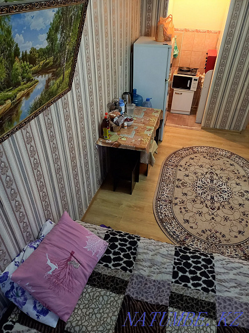 1-room apartment Astana - photo 5