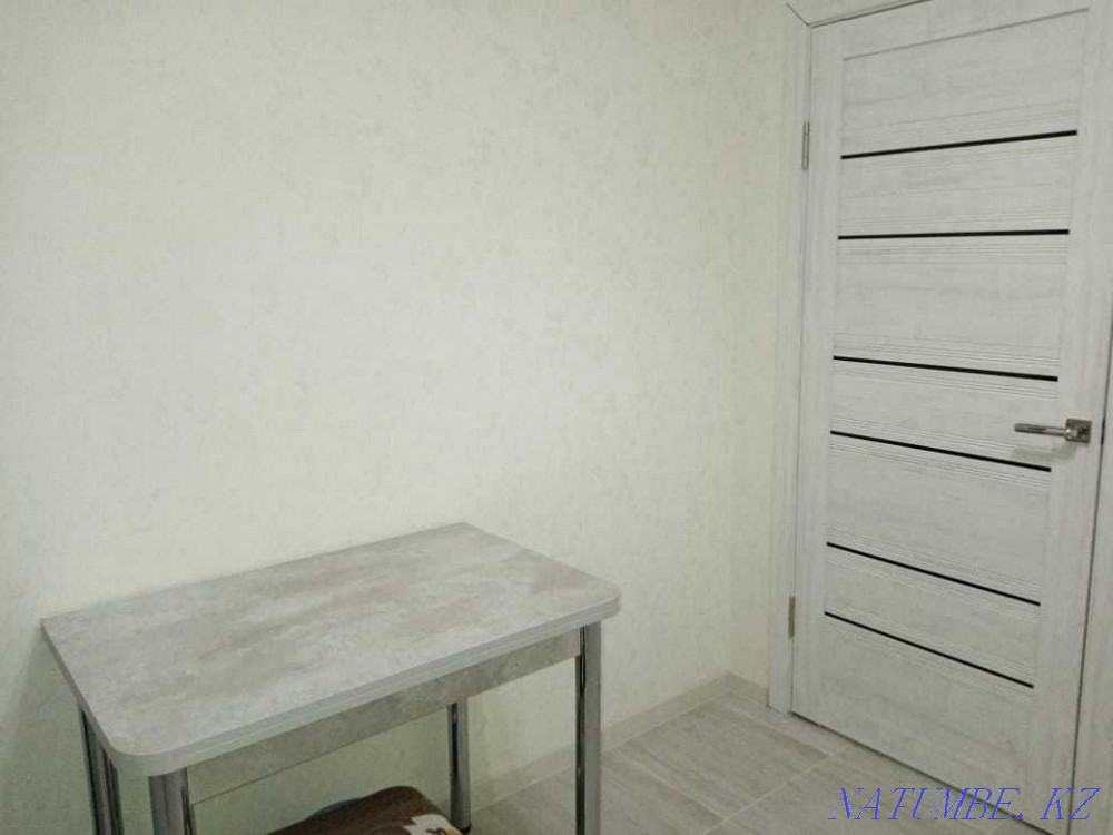 Однокомнатная квартира Астана - изображение 11