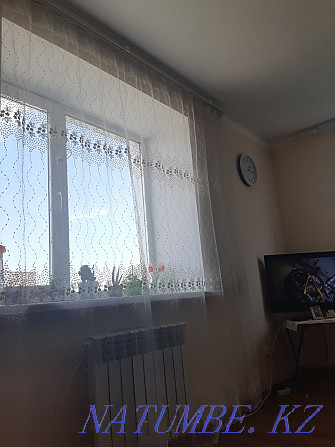 Однокомнатная квартира Астана - изображение 3