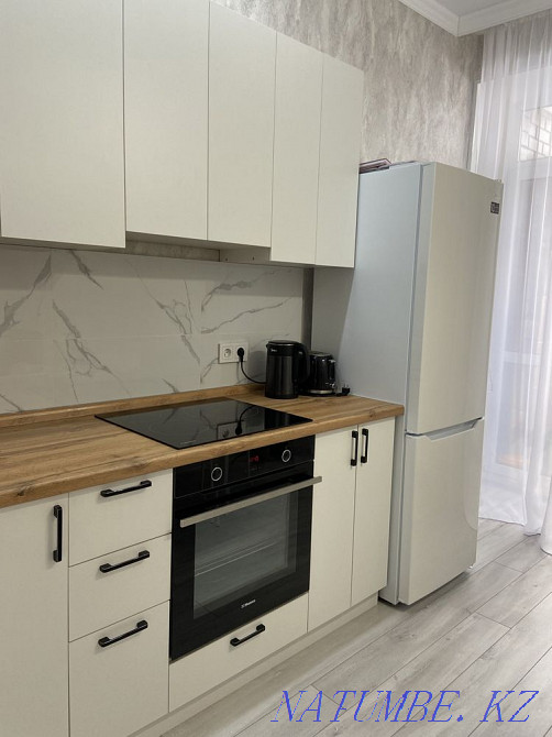 Однокомнатная квартира Астана - изображение 3