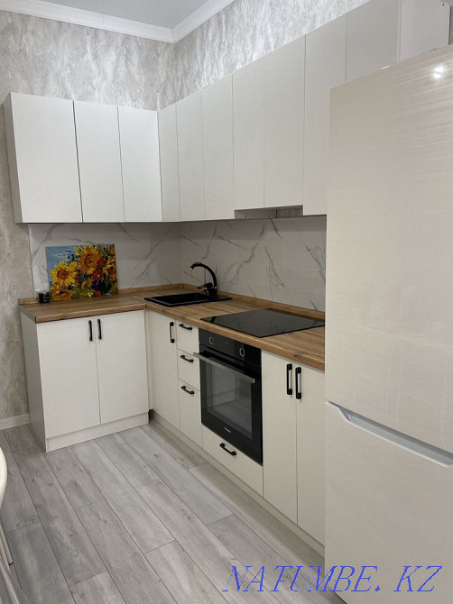 Однокомнатная квартира Астана - изображение 2