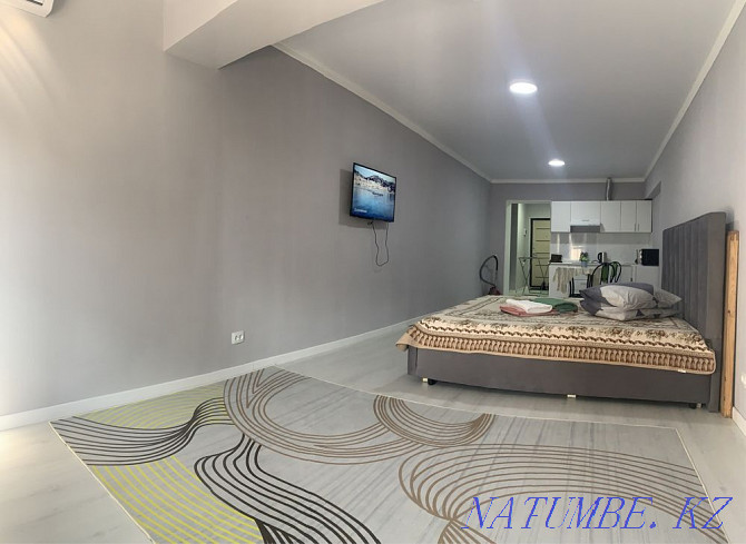  apartment with hourly payment Almaty - photo 5