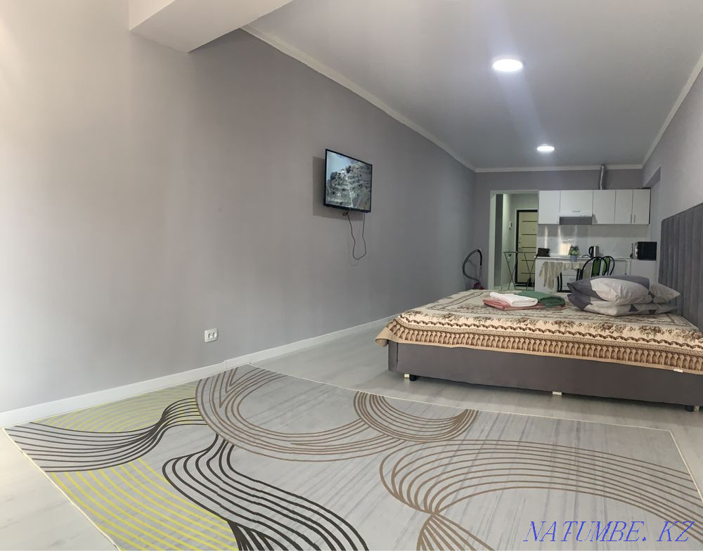  квартиру с почасовой оплатой Алматы - изображение 6