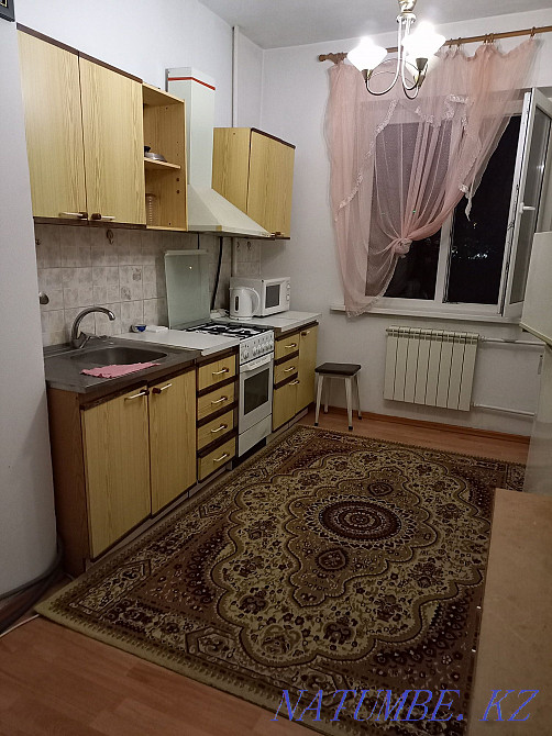 hourly rent apartment Almaty - photo 2