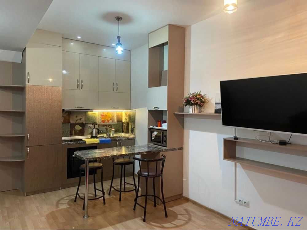 hourly rent apartment Almaty - photo 2