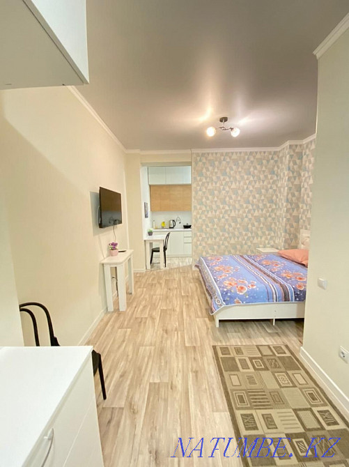 hourly rent apartment Almaty - photo 1