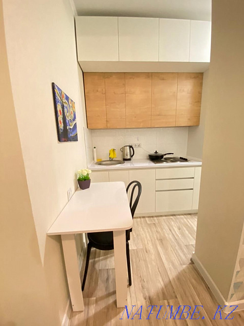 hourly rent apartment Almaty - photo 6