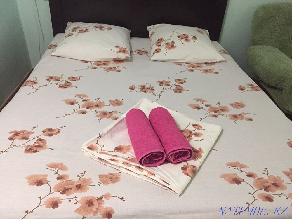 hourly rent apartment Almaty - photo 1