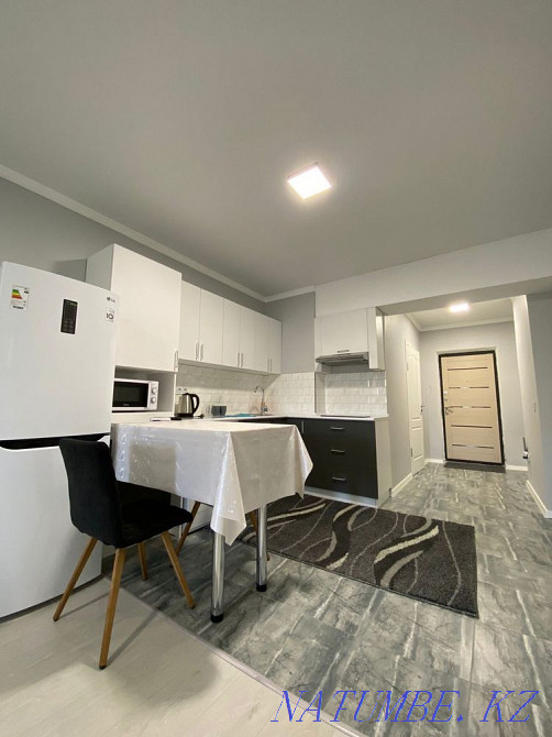 hourly rent apartment Almaty - photo 4