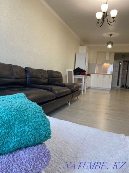 hourly rent apartment Almaty - photo 3