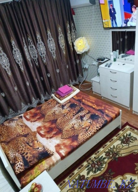  квартиру с почасовой оплатой Алматы - изображение 13