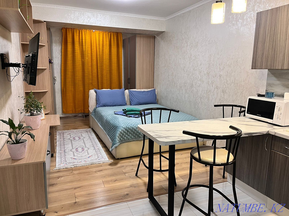 hourly rent apartment Almaty - photo 4