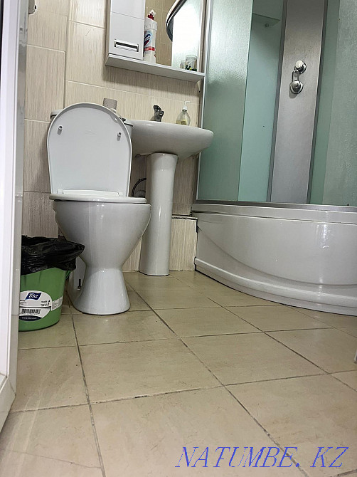  квартиру с почасовой оплатой Алматы - изображение 5