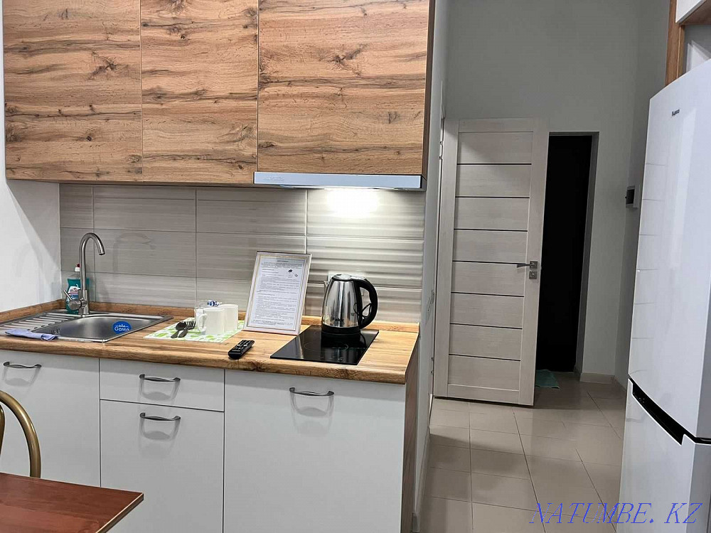 hourly rent apartment Almaty - photo 4