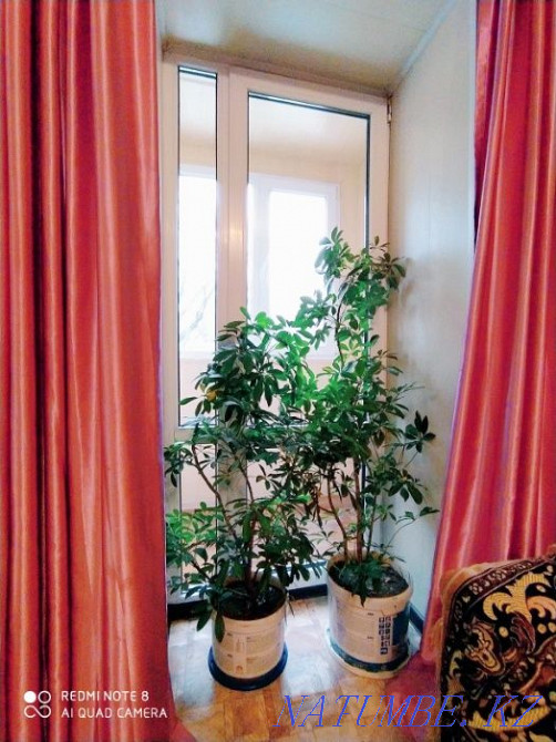 hourly rent apartment Almaty - photo 8