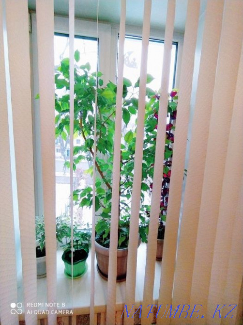 hourly rent apartment Almaty - photo 15