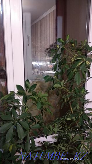 hourly rent apartment Almaty - photo 13