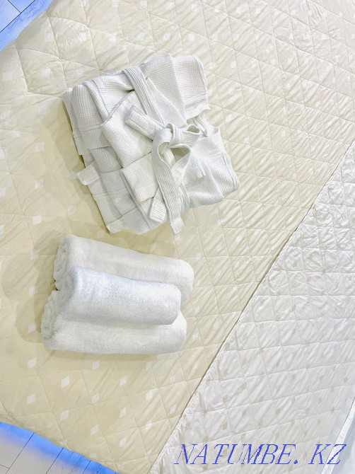 hourly rent apartment Almaty - photo 3