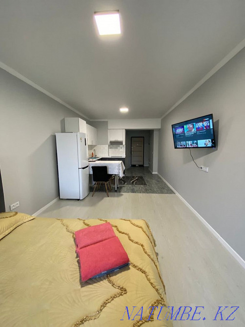 hourly rent apartment Almaty - photo 5