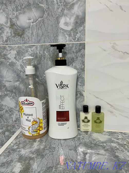  квартиру с почасовой оплатой Алматы - изображение 7