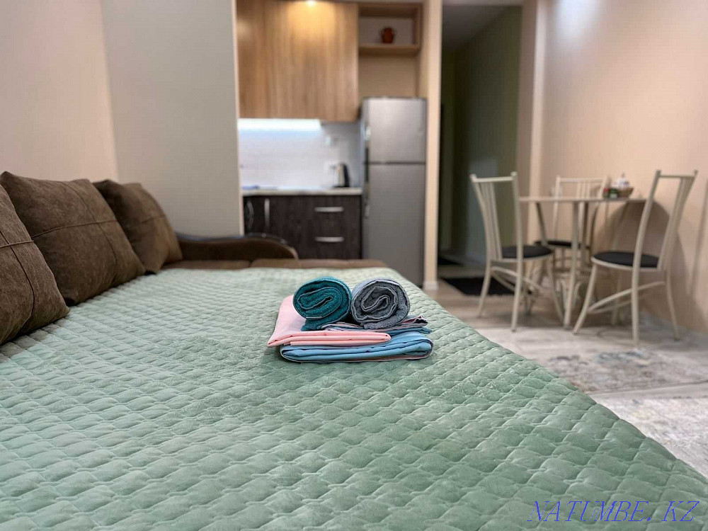 hourly rent apartment Almaty - photo 2