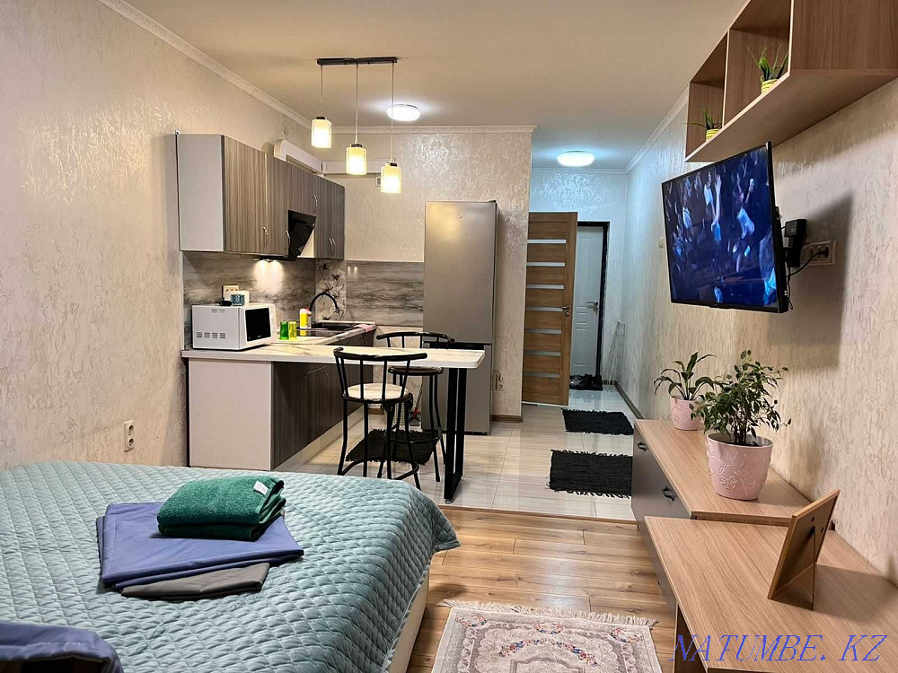 hourly rent apartment Almaty - photo 4