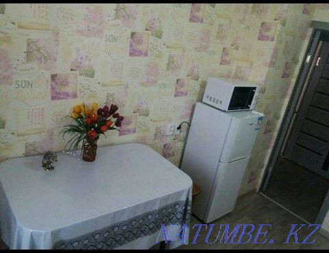  apartment with hourly payment Almaty - photo 6