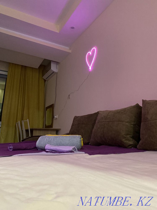  квартиру с почасовой оплатой Алматы - изображение 5