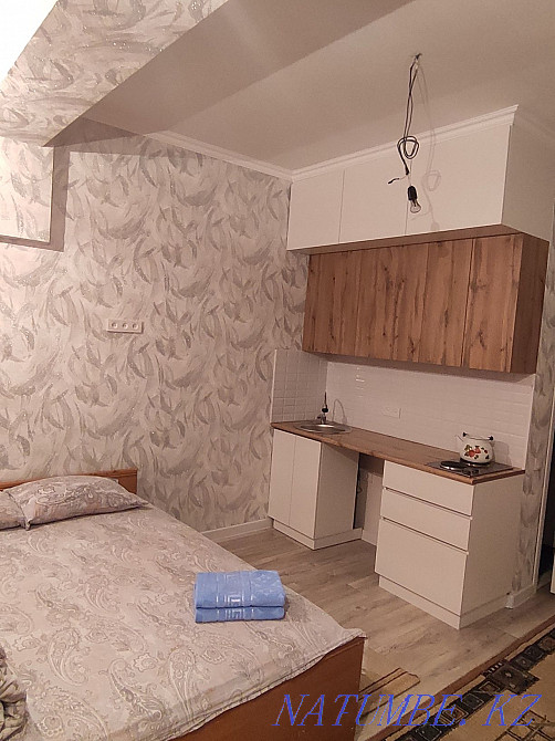 hourly rent apartment Almaty - photo 3