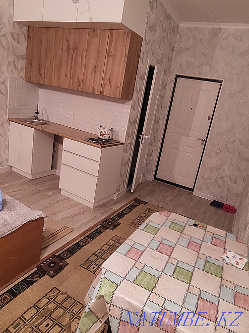 hourly rent apartment Almaty - photo 2