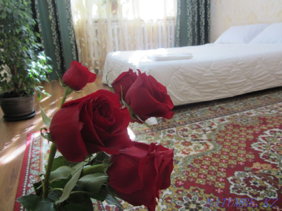  квартиру с почасовой оплатой Алматы - изображение 1