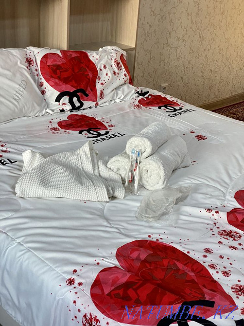 hourly rent apartment Almaty - photo 2