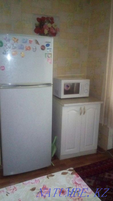 hourly rent apartment Almaty - photo 4