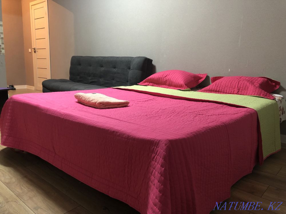  квартиру с почасовой оплатой Алматы - изображение 4